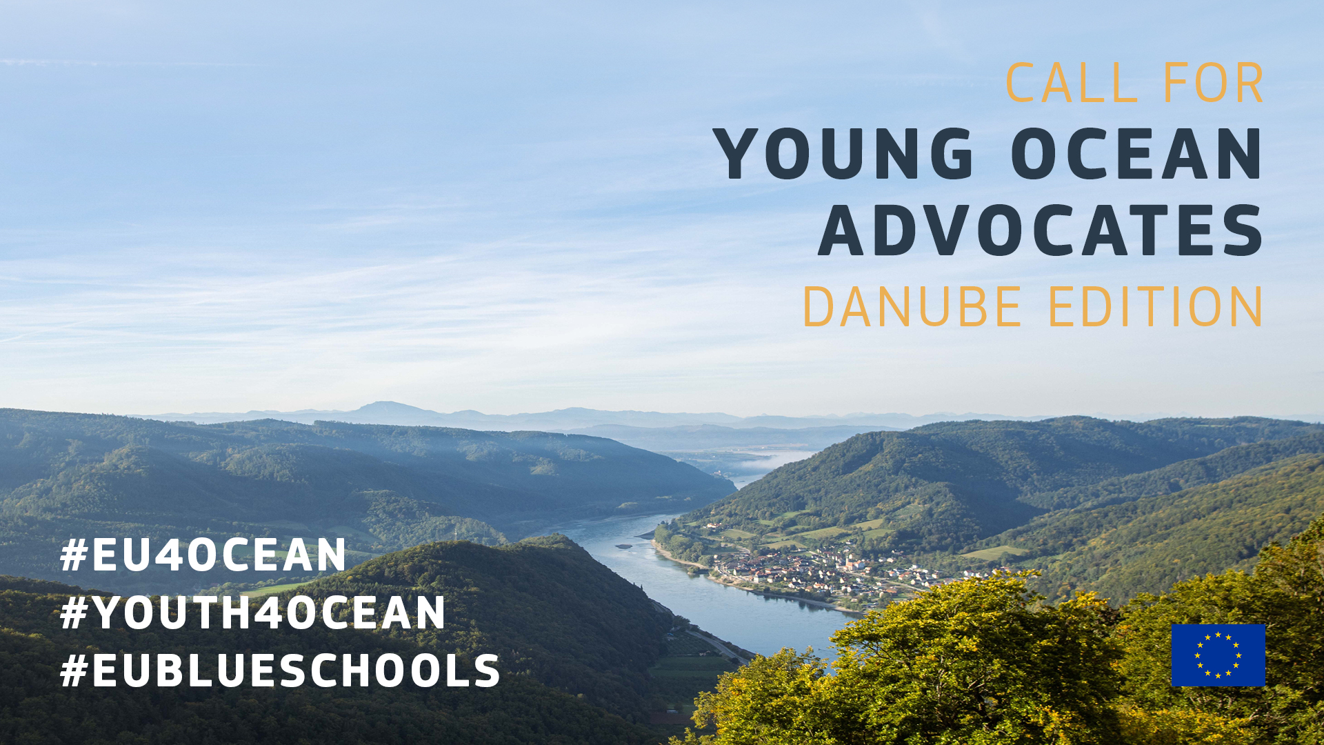 The Youth4Ocean Forum is launching a new call for project proposals