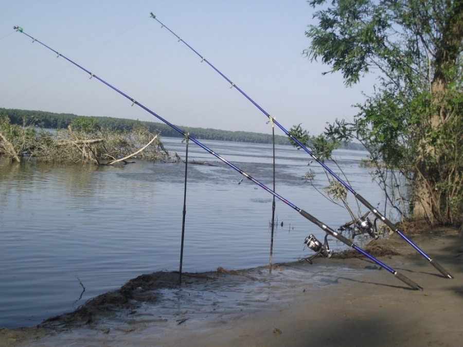Fishing contest