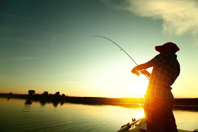 The most popular fishing ponds in Braila